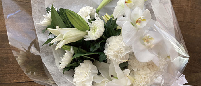 �I�v�V�����̃C���[�W�ʐ^